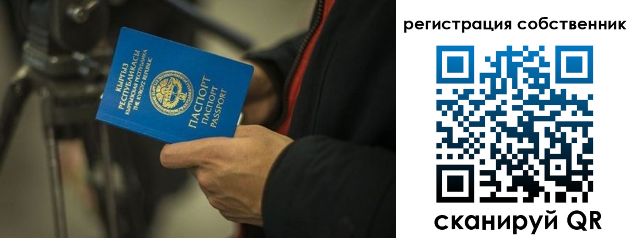 временная регистрация поиск в Мирном